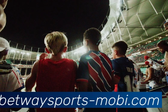 必威体育平台生态图