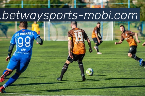 必威体育APP 封面图